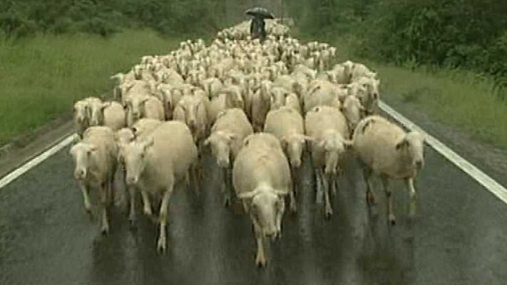 Espacios naturales - La Cañada de los Roncaleses