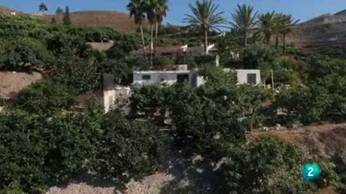 Las rutas Capone - Ceviche de Miguel Castilla