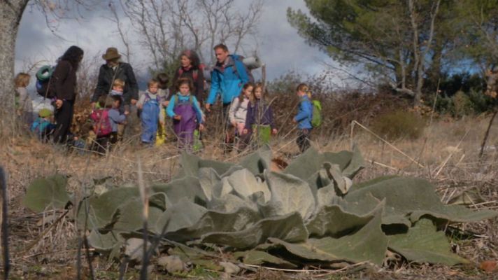 Aquí la Tierra - El escaramujo, la madre de los rosales