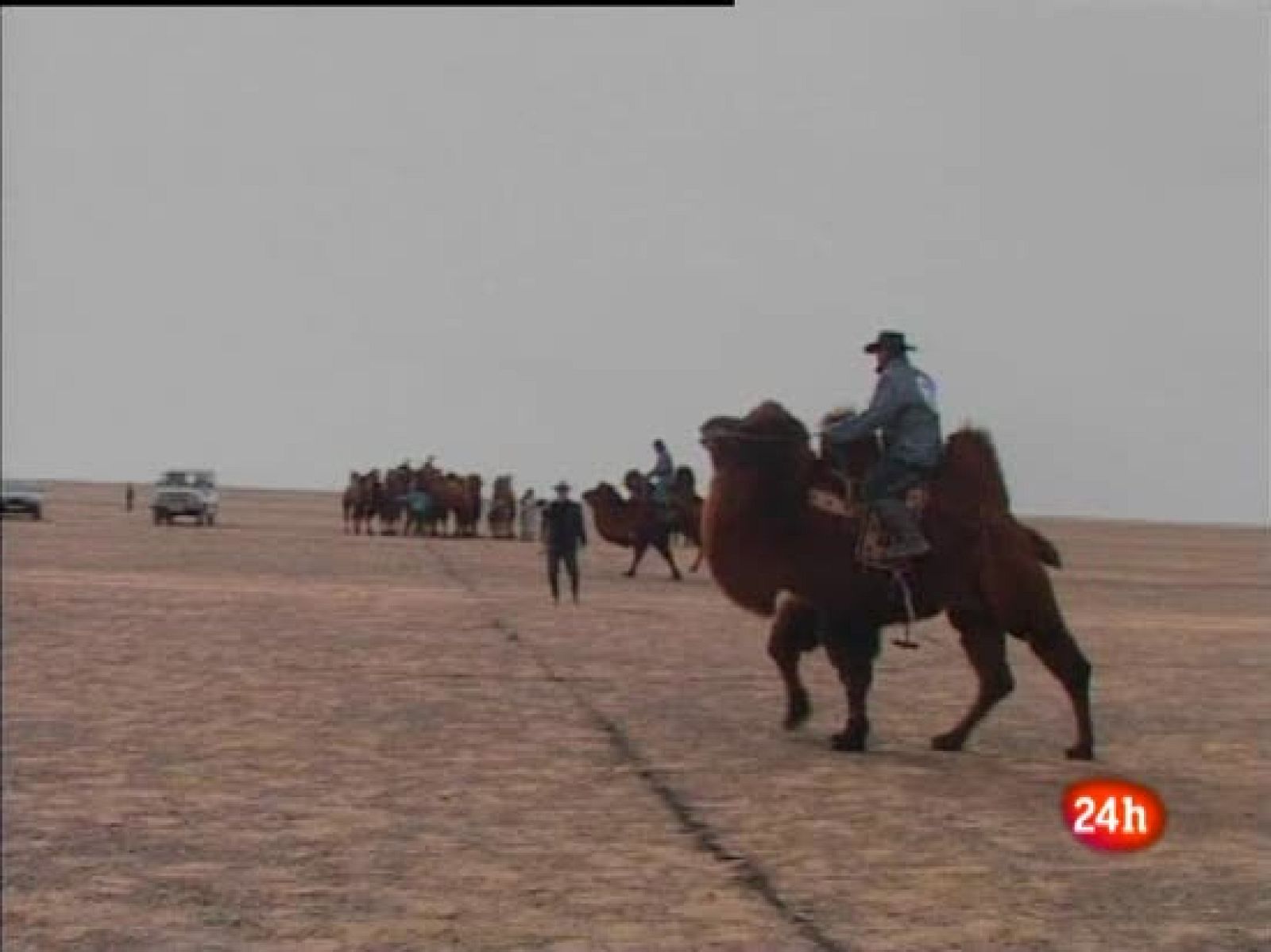 Polo sobre camello, deporte nacional | Ver