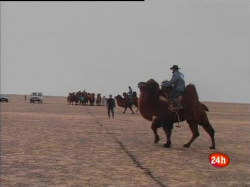 Polo sobre camello, deporte nacional | Ver