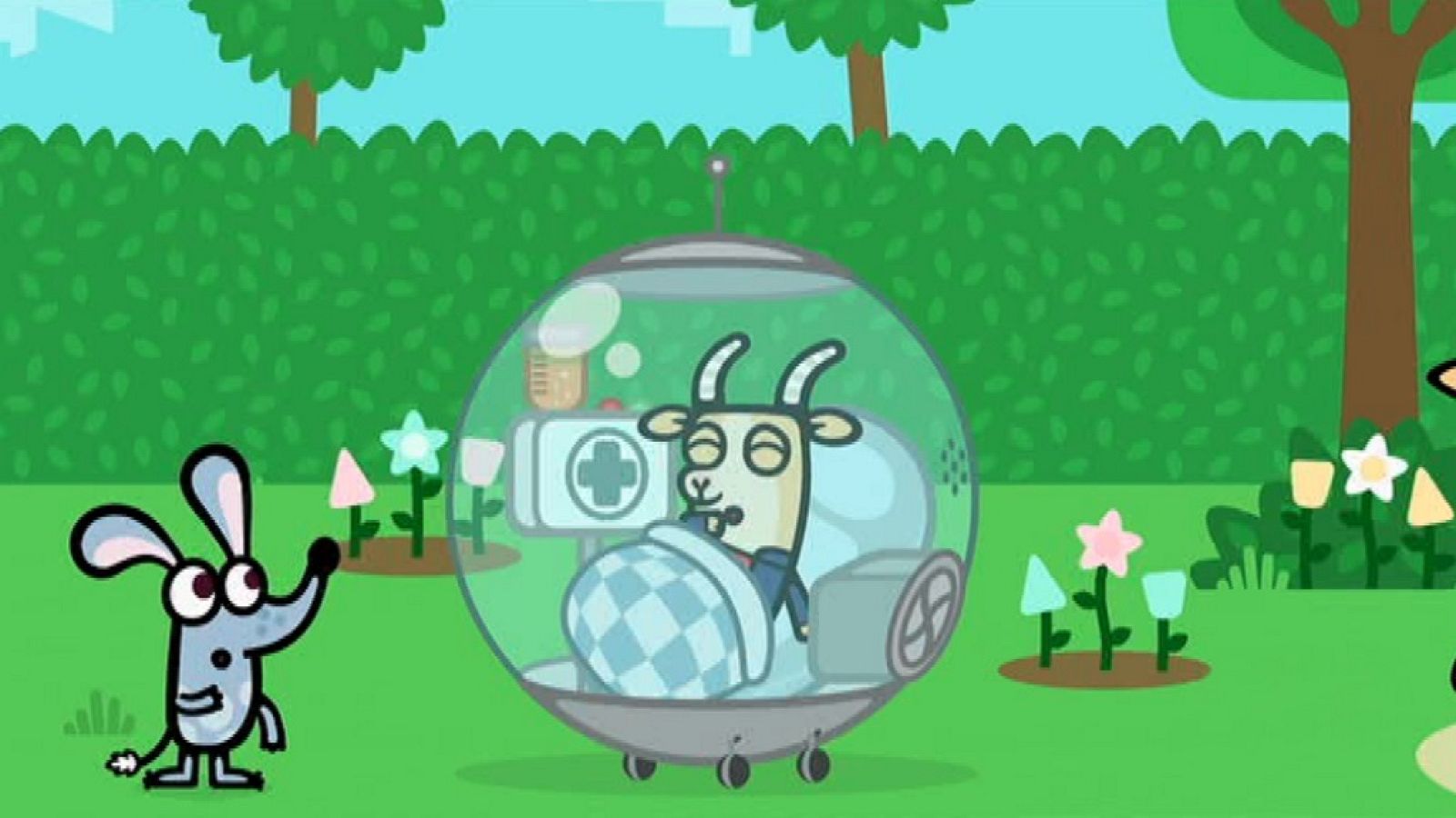 El moquillo estornudador - Boj | Ver