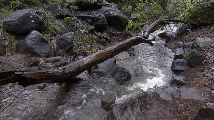 Telecanarias - Canarias en 2' - 06/02/2018