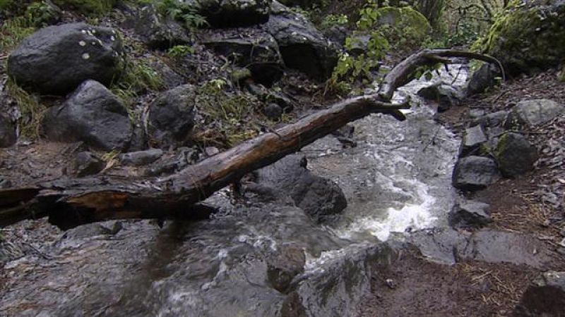 Canarias en 2' - 06/02/2018