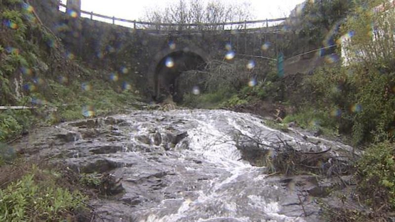 Telecanarias - 06/02/2018