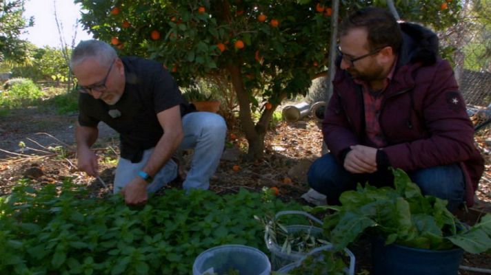 Aquí la Tierra - Un menú a base de alimentos silvestres
