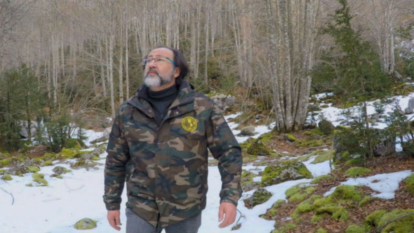 En las cumbres nevadas aflora la vida