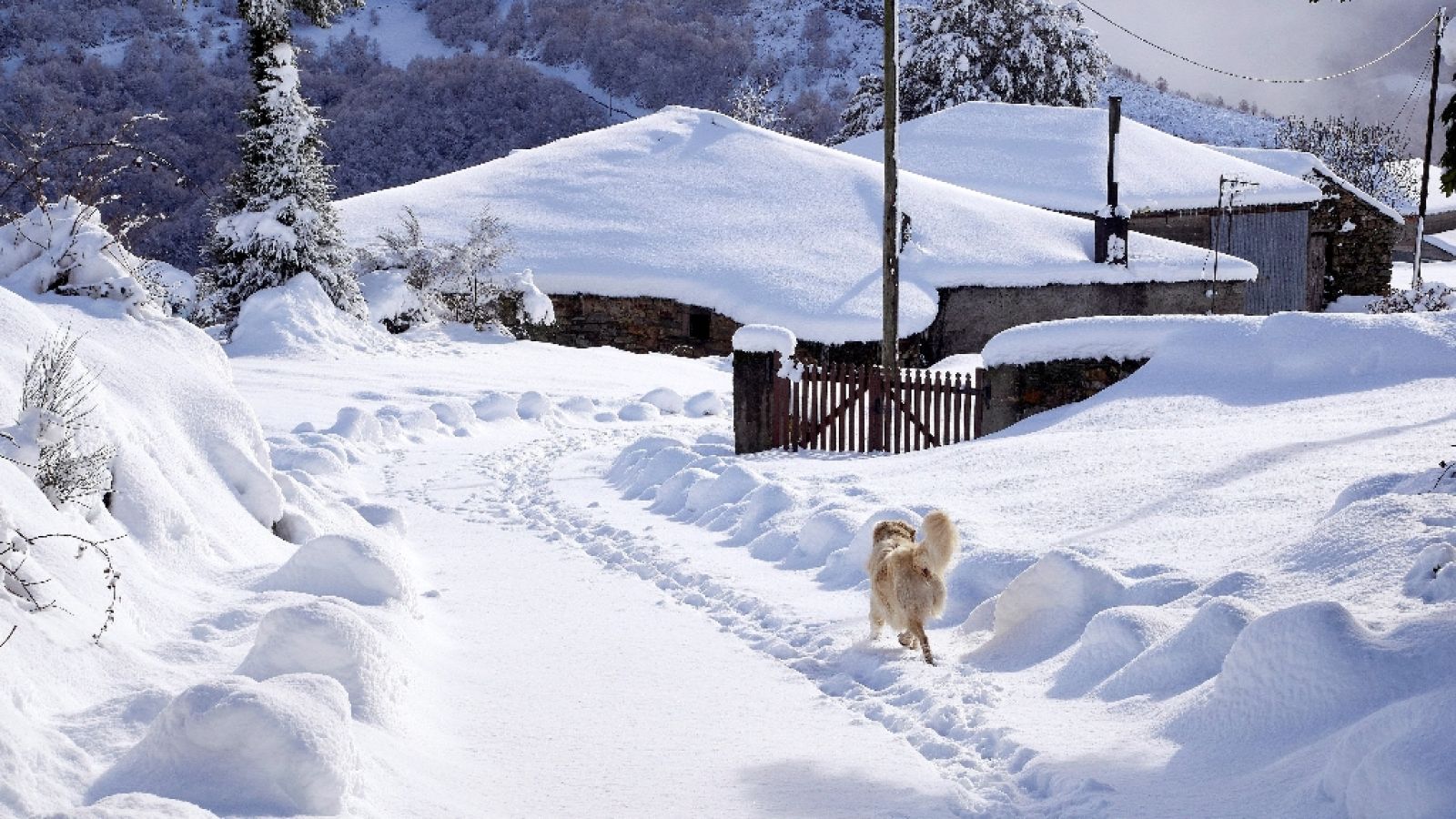 España en 24 horas - 07/02/18 - ver ahora