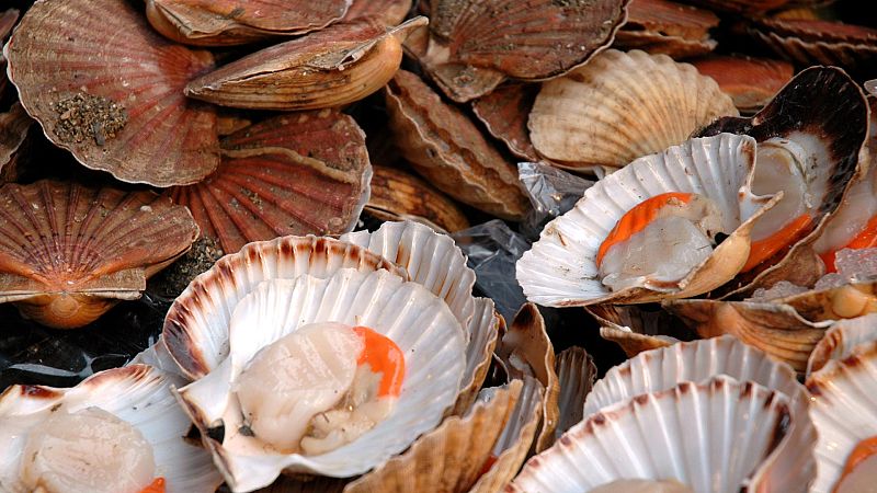 Otros documentales - Comida al descubierto: Judías verdes, vieiras y empanadillas de Cornualles - ver ahora