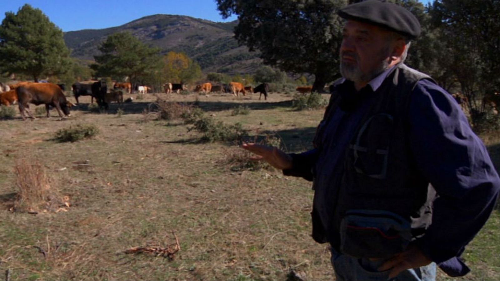 El ganadero humanitario