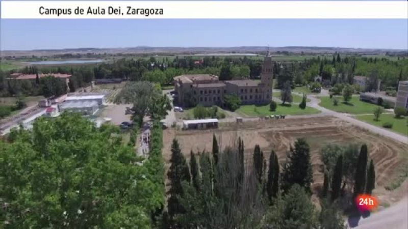 LAB24 - Cultivos con mucha innovación