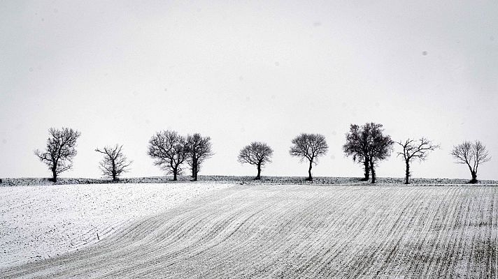 Informativo de Madrid - El Tiempo en la Comunidad de Madrid - 08/02/18