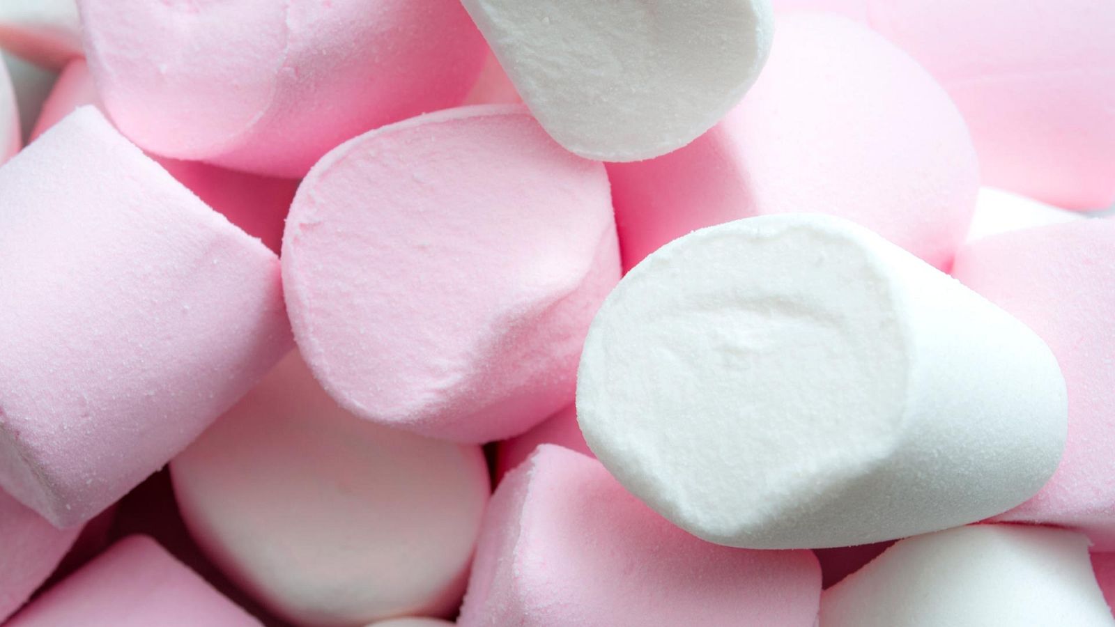 Otros documentales - Comida al descubierto: Pesto, malvaviscos y berberechos - ver ahora