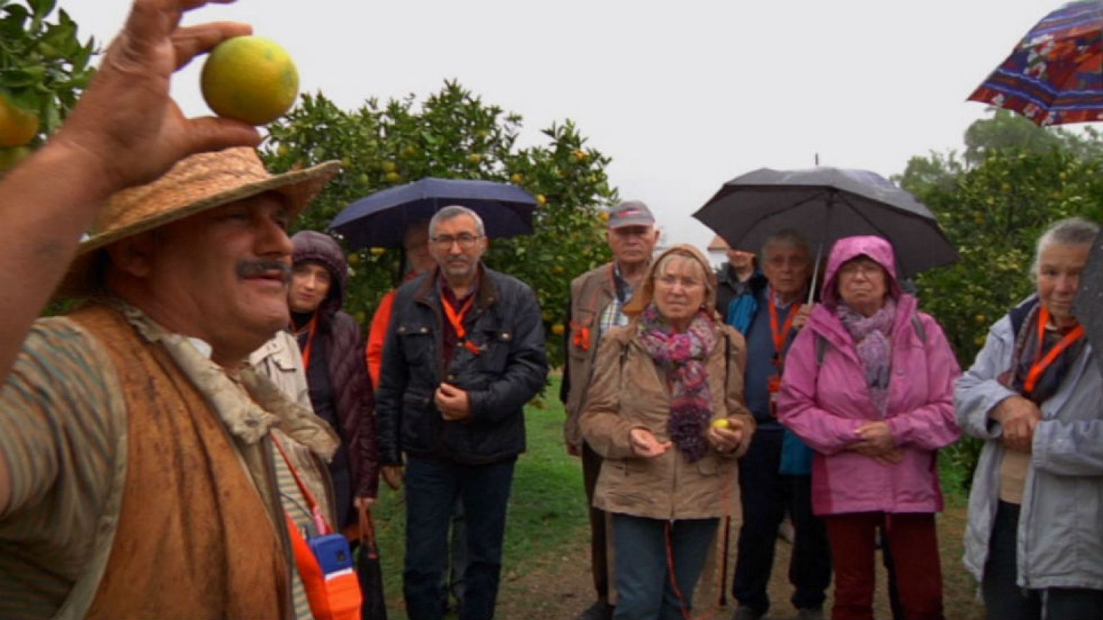 Juanito Orange, visita imprescindible