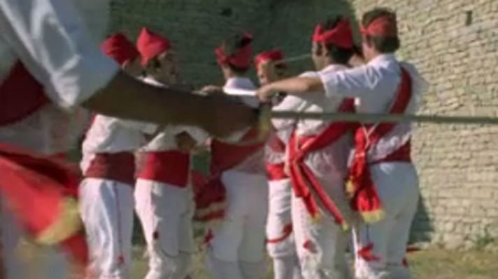 Raíces - La tarántula