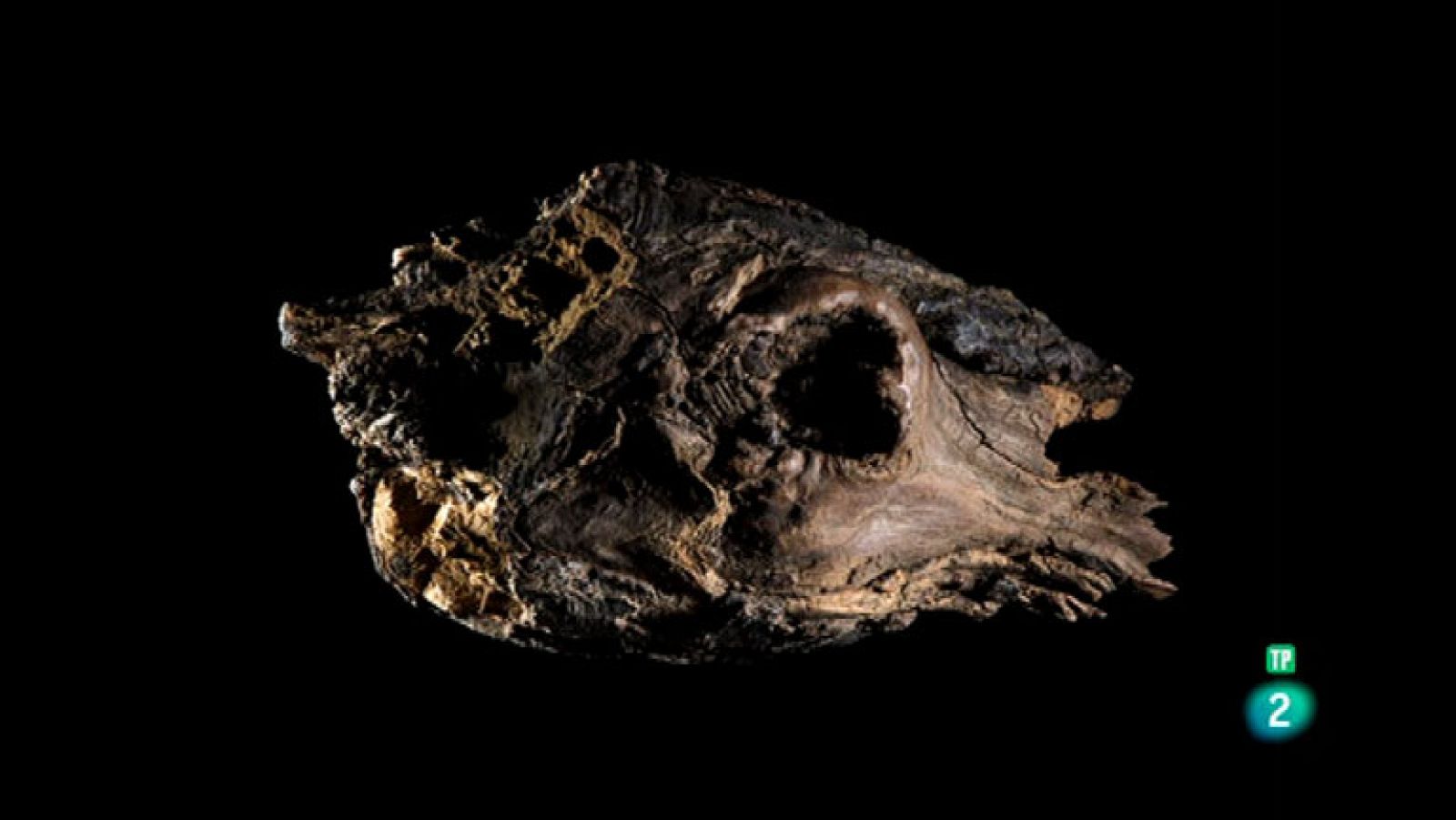 La Aventura del Saber. Boek Visual. Skomo