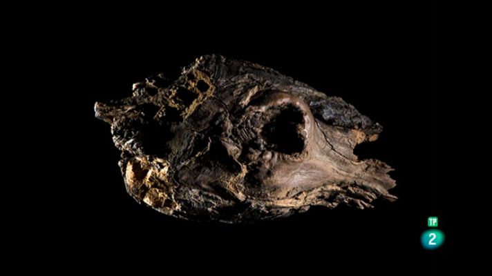 La aventura del Saber - Boek Visual. Skomo