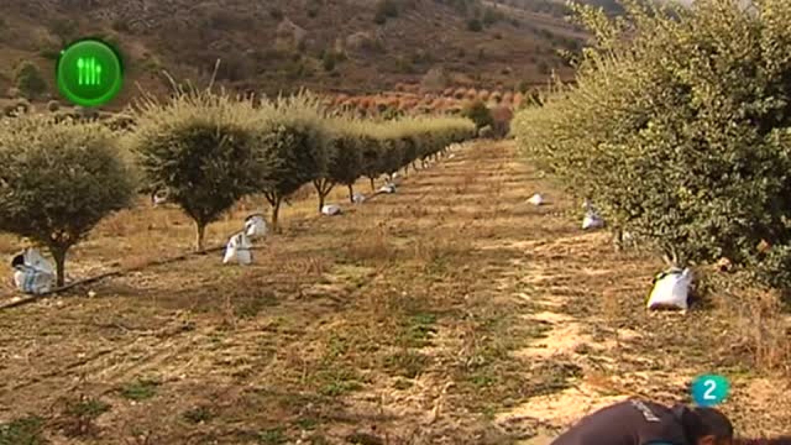 CON MUCHO GUSTO TRUFA NEGRA