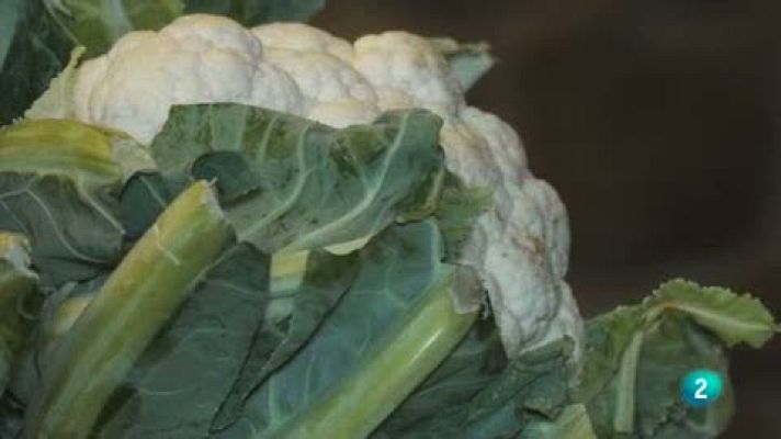 Las rutas Capone - Verduras a la inglesa, tomate confitado y aire de Idiazábal