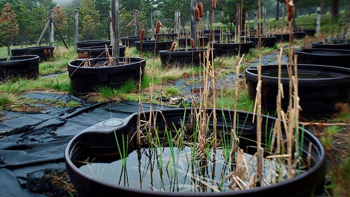 Informativo de Madrid - El Tiempo en la Comunidad de Madrid - 12/02/18