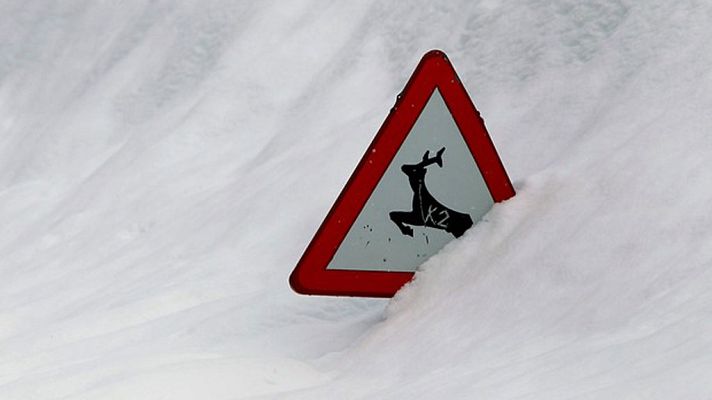 Telediario 1 - Telediario 1 en 4' - 12/02/18