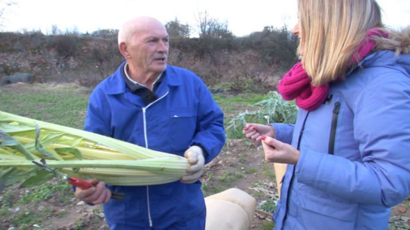 Aquí la tierra - ¡Cardo para todos!