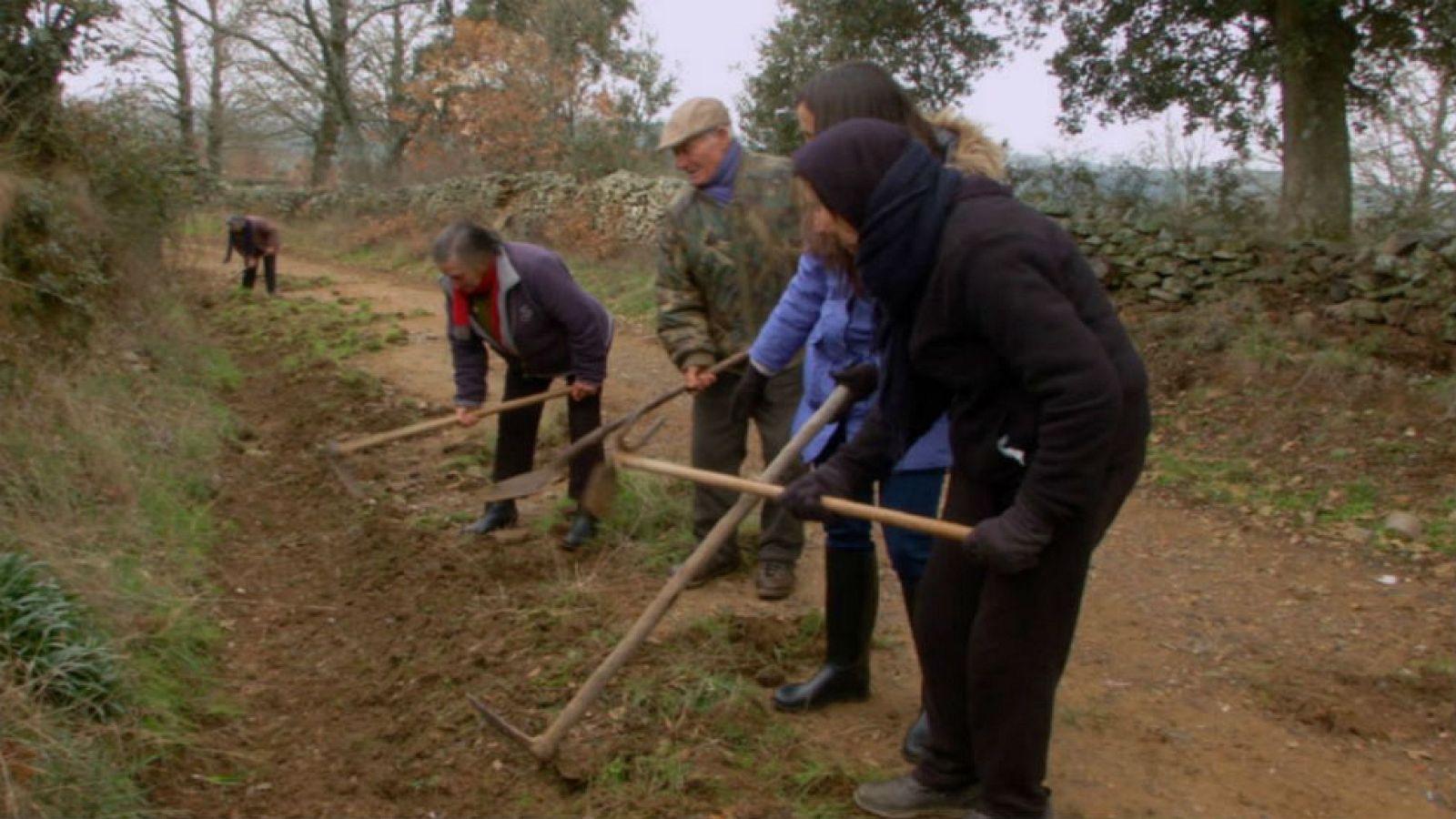 Alistanos, ¡todos a una!
