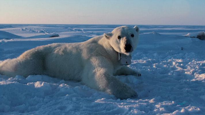 La 2 Noticias - La 2 Noticias - 12/02/18