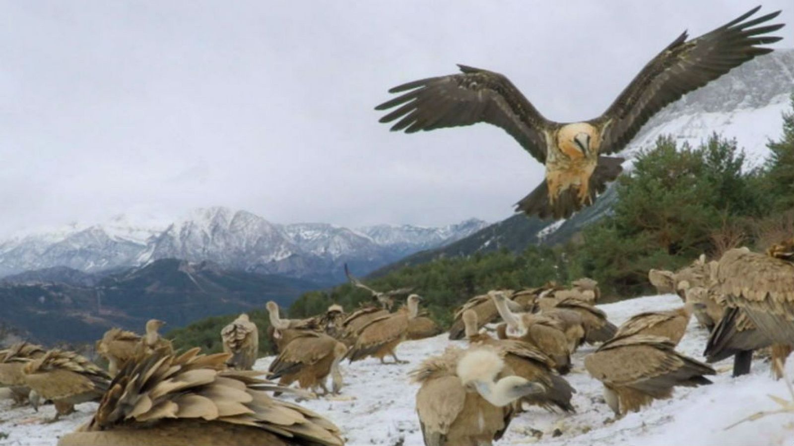 El apasionante Parque Nacional de Ordesa y Monte Perdido