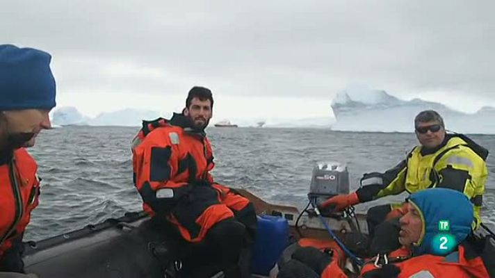 La aventura del Saber - Volverás a La Antártida