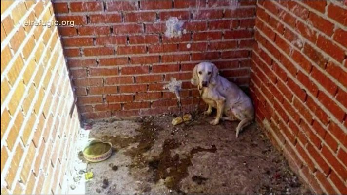 Informativo de Madrid - La Comunidad de Madrid en 4' - 14/02/18