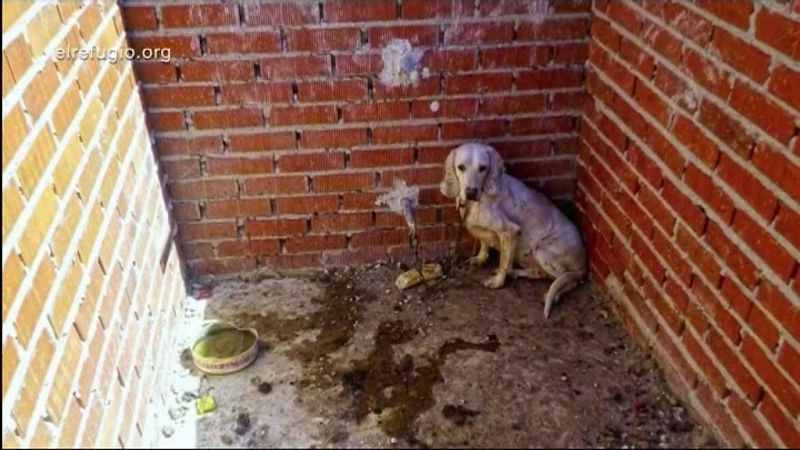 La Comunidad de Madrid en 4' - 14/02/18