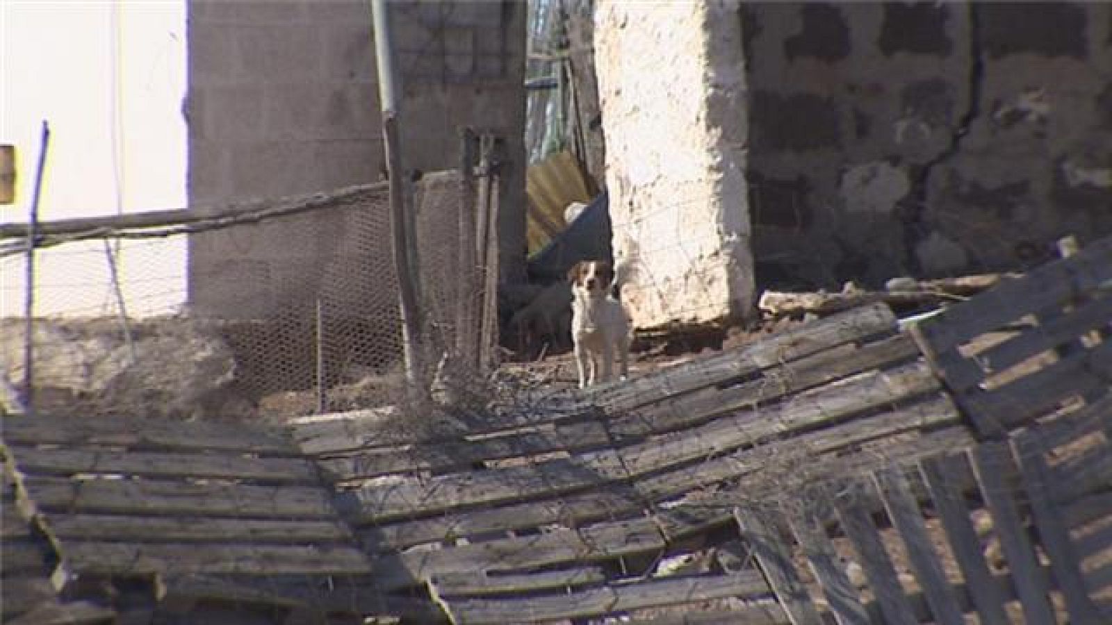 Telecanarias - 14/02/2018