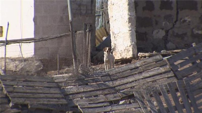 Telecanarias - 14/02/2018