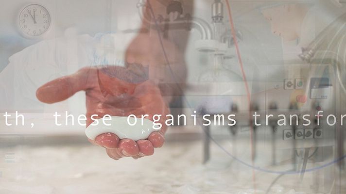 Metrópolis - Generación 2018