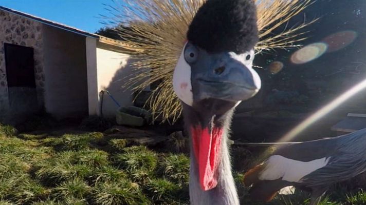 Aquí la Tierra - En su singularidad reside su belleza