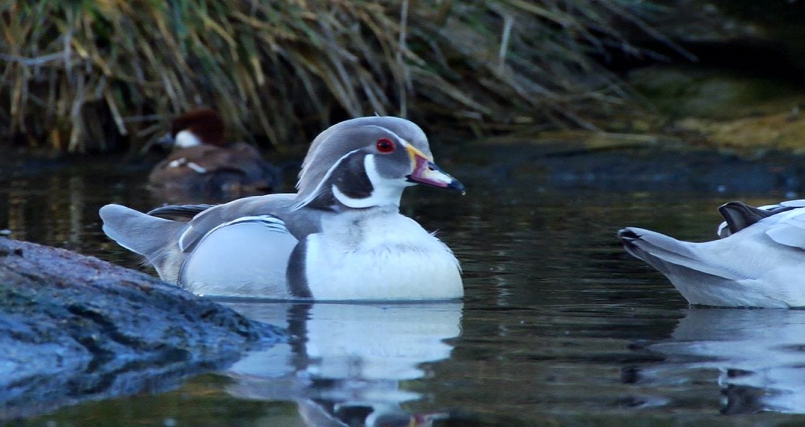 Aquí la tierra - 16/02/18 - ver ahora