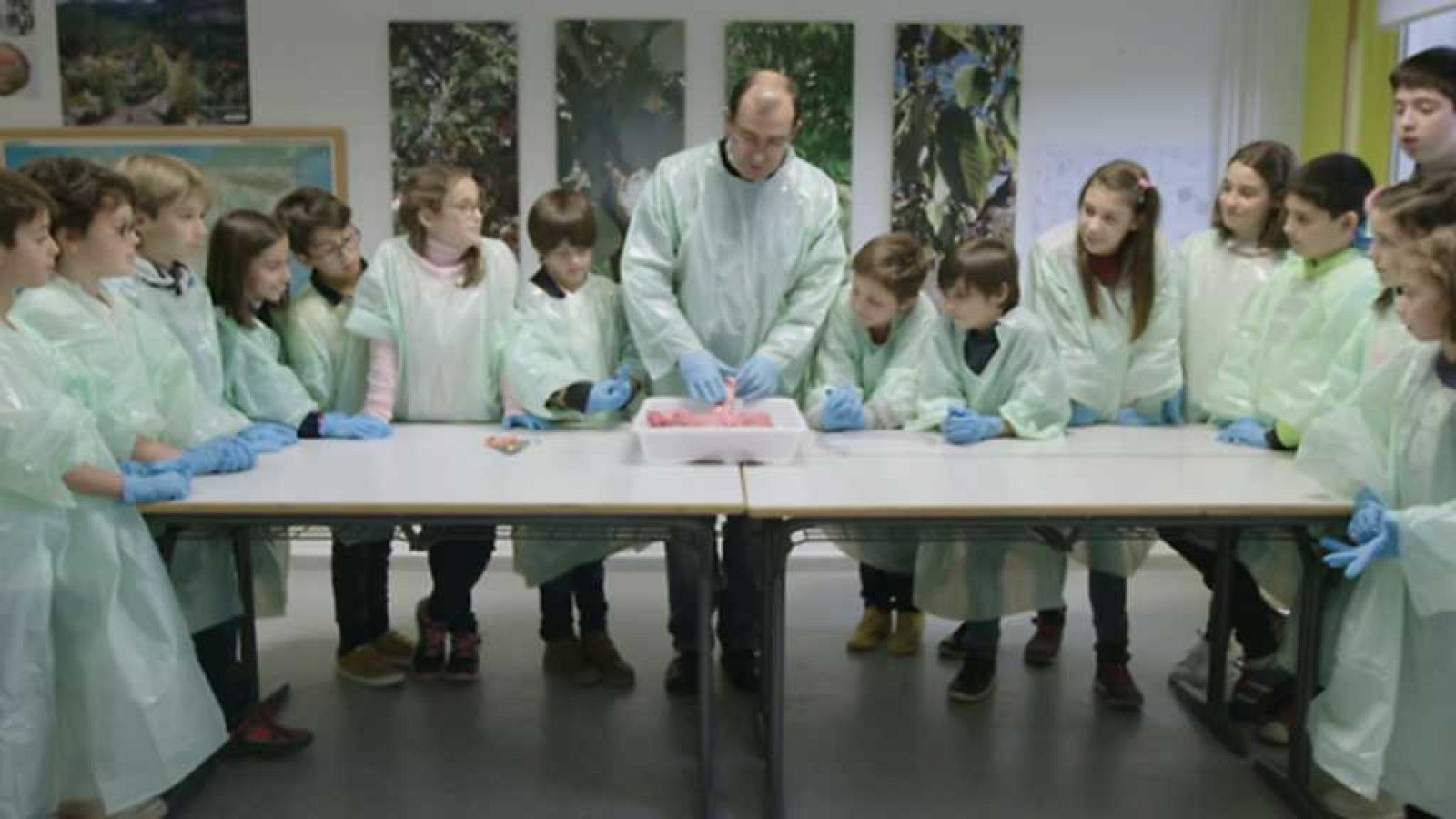 Maneras de educar - Galén, Lugo - ver ahora