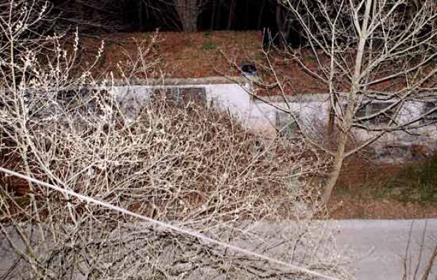  - Los heridos por un obús, graves