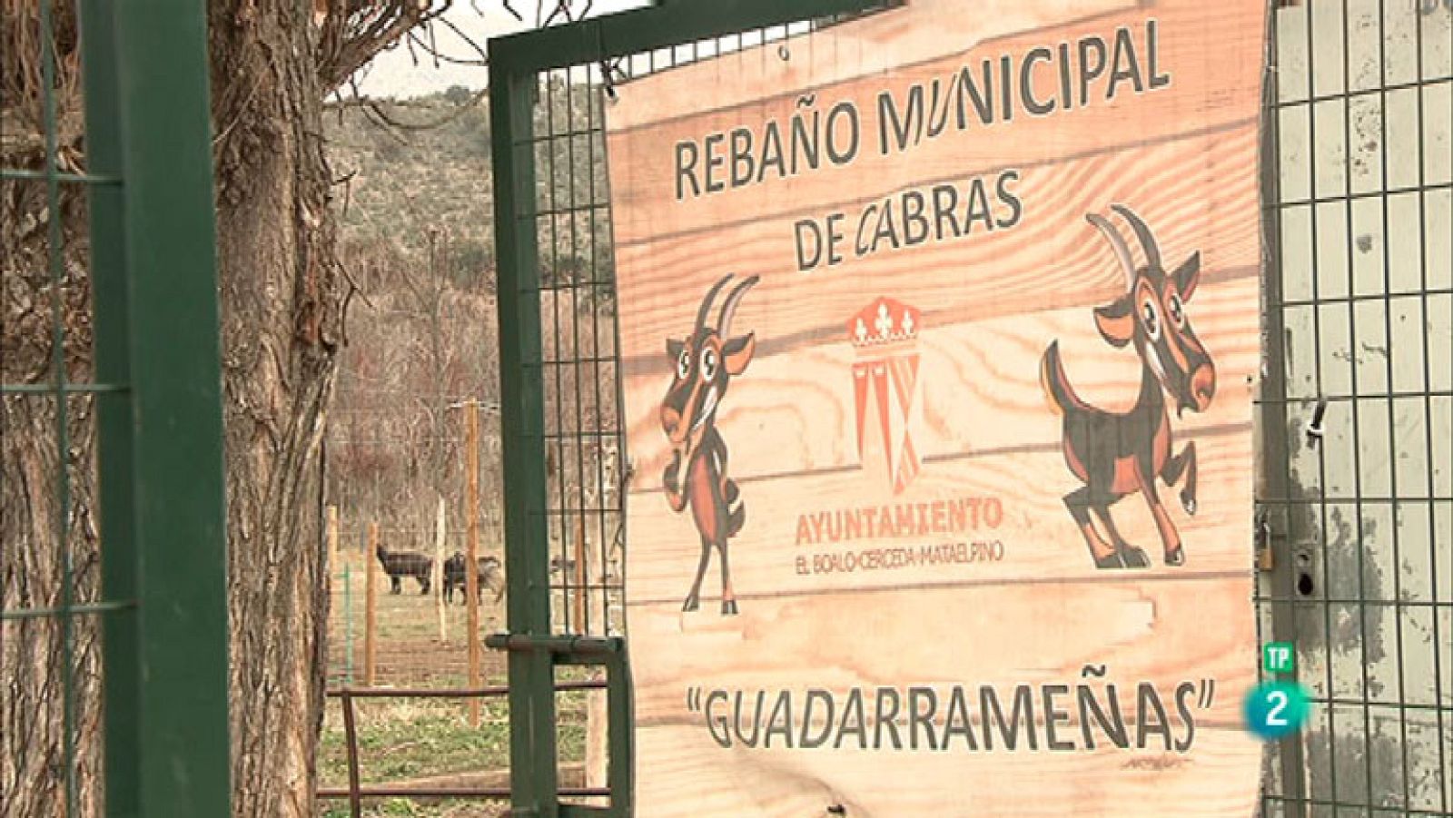 La Aventura del Saber El Boalo-Cerceda-Mataelpino escuela naturaleza.reciclar economía circular residuo cero Sostenibilidad #Ave