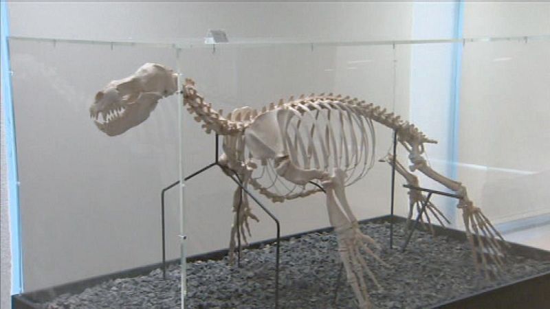 L'Informatiu - Comunitat Valenciana 2 - 19/02/18 - ver ahora