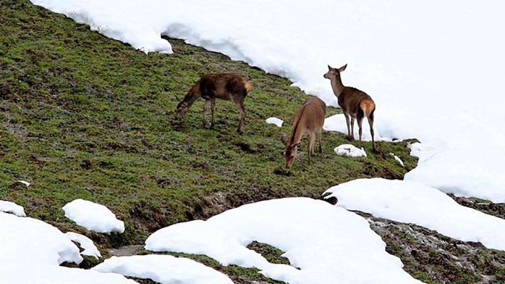 El tiempo - Precipitaciones persistentes en el Cantábrico oriental y norte de Navarra