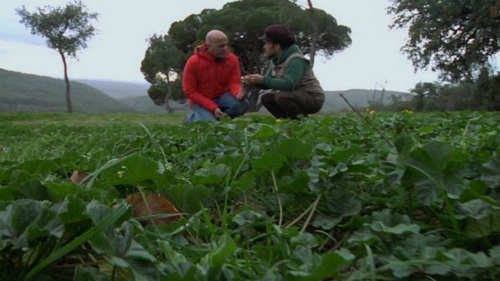Aquí la Tierra - El campo, una farmacia gigante