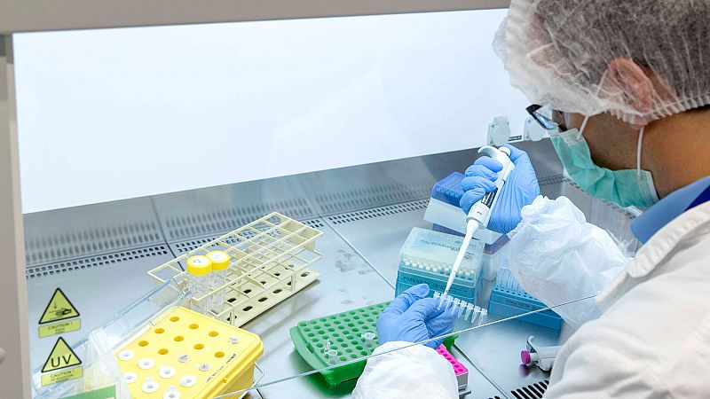 Neurólogos españoles desarrollan un tratamiento para combatir el cáncer cerebral