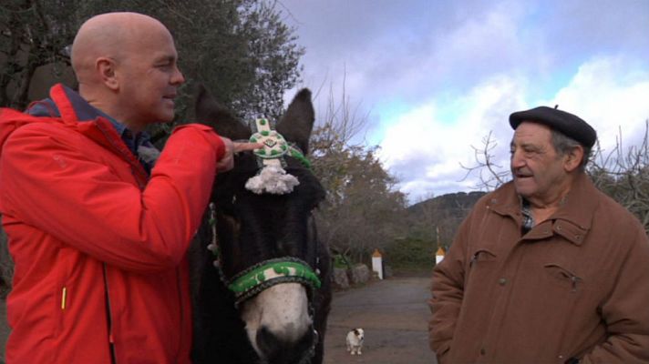 Aquí la Tierra - Un burro del Betis