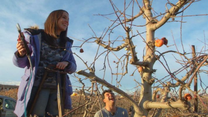 Aquí la Tierra - ¡Ojo con la rama que podas!