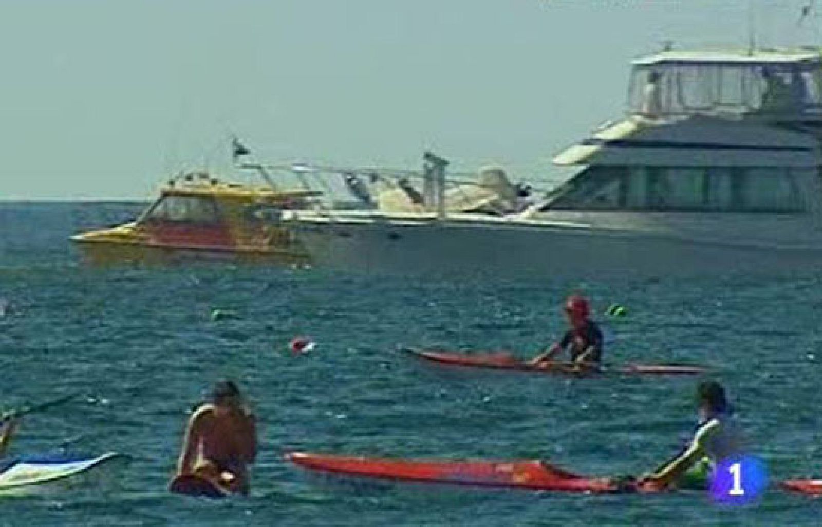 Un grupo de tiburones irrumpe en una competición de natación | Ver
