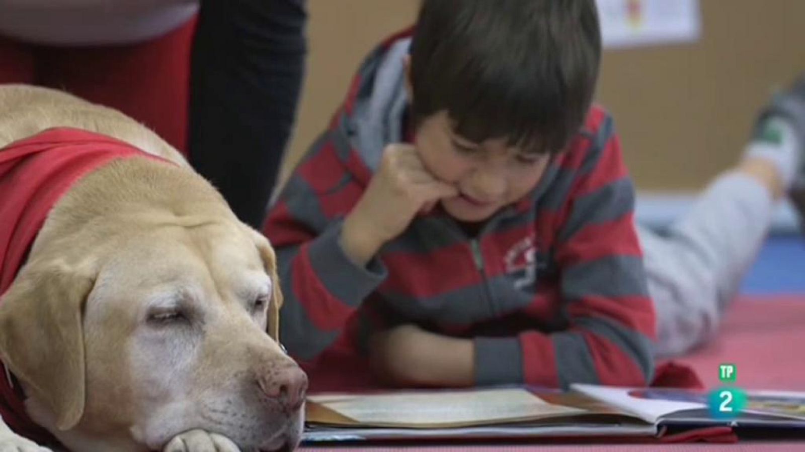 Página Dos - El reportaje - Perros y letras