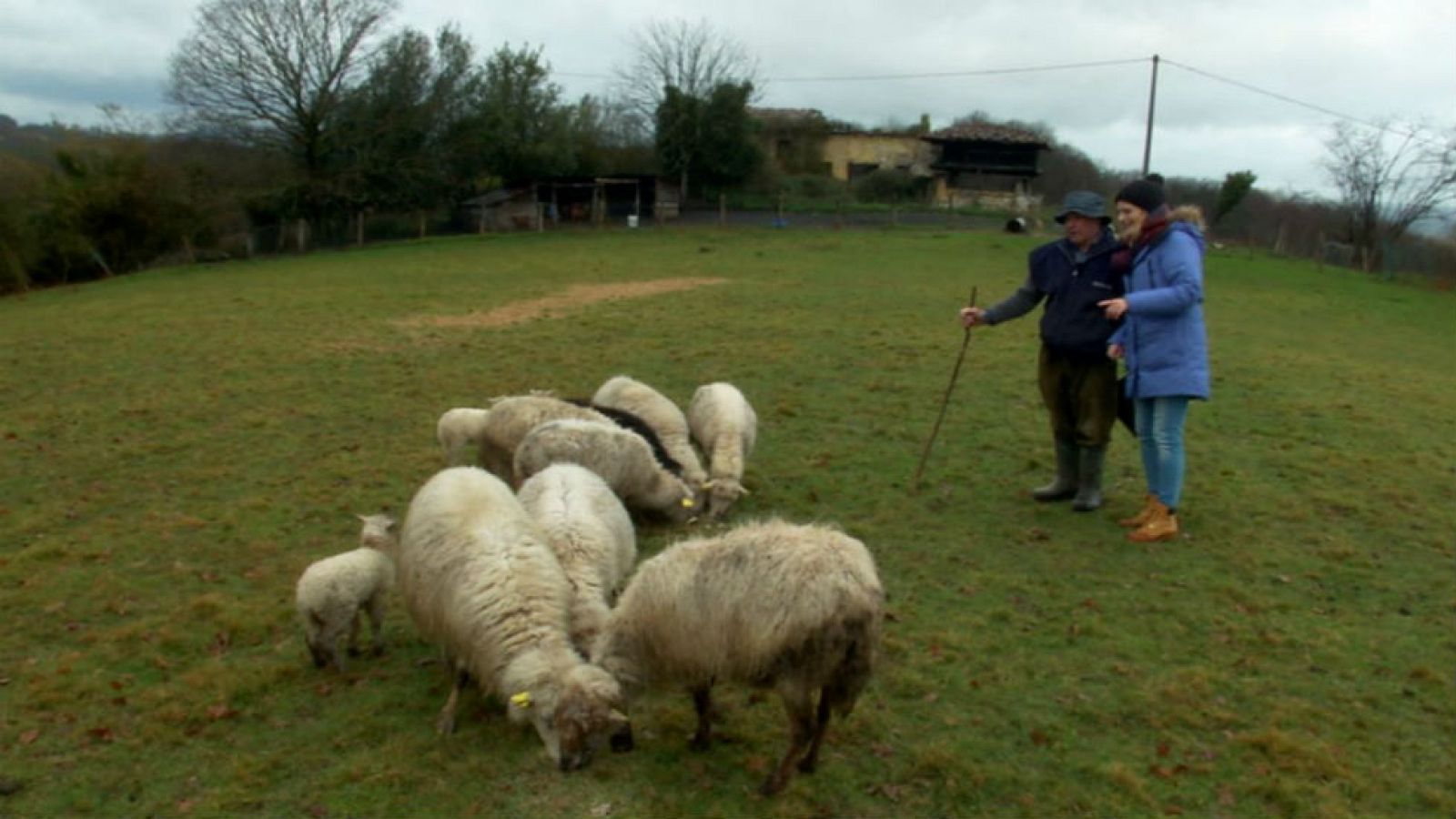 Jerónimo y sus razas asturianas