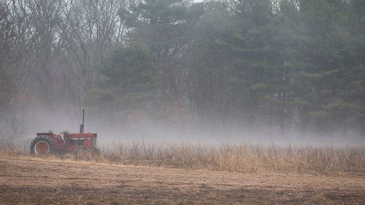 El tiempo - Temperaturas mínimas significativamente bajas en amplias zonas del interior peninsular